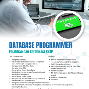 Database Programmer