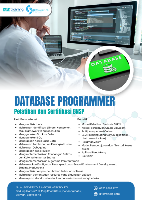 Database Programmer