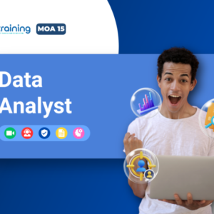 Data Analyst